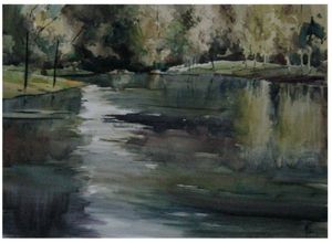Río Gris