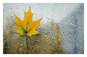 Sigue lloviendo
