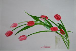 Amapolas